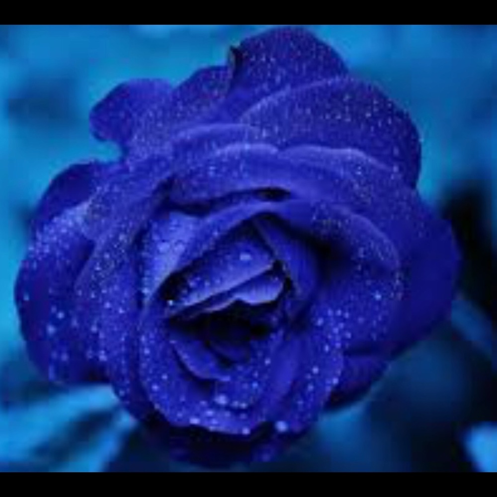 Meet your Posher, Ashlynn